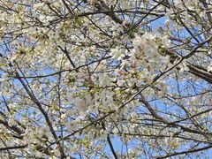 -长沙市青少年宫