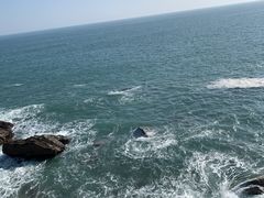 -广东惠东海龟国家级自然保护区