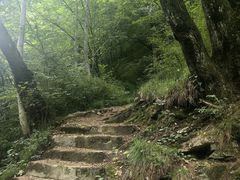 -青峰峡国家森林公园