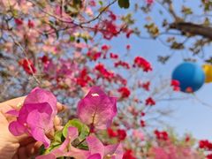 -盈香心动乐园