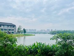 -洋湖国家湿地公园