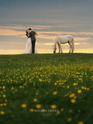 -杭州金夫人婚纱摄影(富阳私享店)