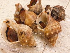 -白仁仔· 活烤海鲜 宵夜(豫园店)