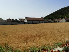 -龙爪山国家地质公园