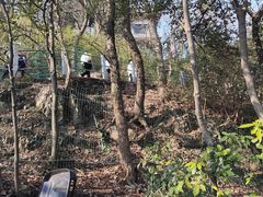 -灵顺寺