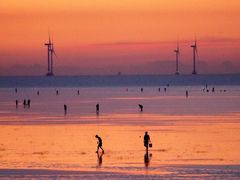 -南汇嘴观海公园