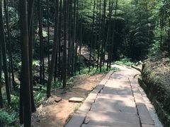 -漫山居私汤民宿全竹宴