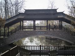 -合肥滨湖国家森林公园