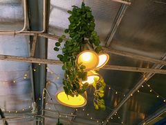 -芭厘农庄老字号·清远鸡