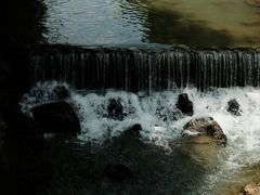 -广州白江湖森林公园