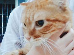 -广州市白云区图书馆