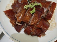 -椿记烧鹅(叠彩店)