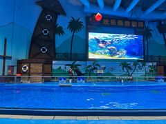 -石家庄极地海洋世界