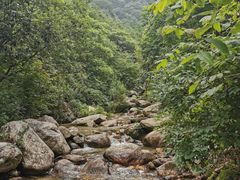 -终南山国家森林公园