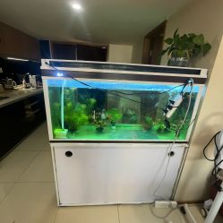 -珍贞佰俪·针清祛痘印敏感管理