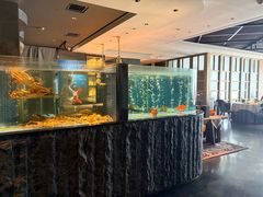-荣轩(新荣记环球金融中心店)
