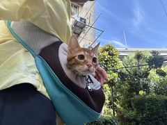 -瑞鹏宠物医院·内科·中兽医·骨科(苗圃店)
