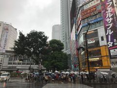 -涩谷区