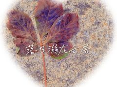 -三里河公园