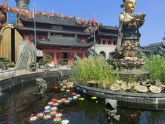 -上海东林寺(金山区)