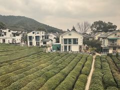 -灵顺寺