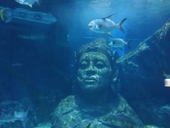 -暹罗海洋世界
