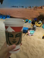 -卡通尼·Safari非洲探索乐园·生日会(金桥国际商业广场店)