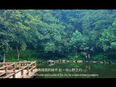 -大奇山国家森林公园
