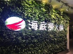 -海底捞火锅(万丰桥店)