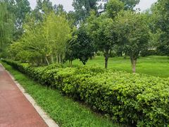 -西吴河科普公园