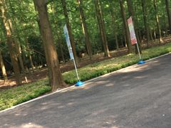 -东平国家森林公园