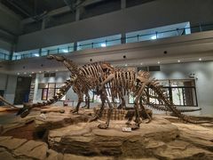 -自贡恐龙博物馆