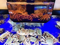 -蟹道乐(道顿堀本店)