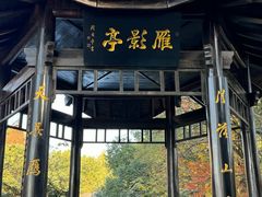 -东湖落雁景区
