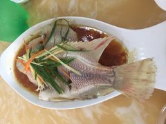 清蒸红宝石鱼-小海豚•老字号海鲜餐厅(天涯店)