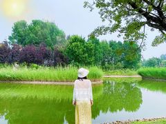 -安德鲁户外烧烤帐篷营地(马泉营店)