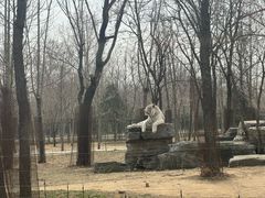 -秦皇岛野生动物园