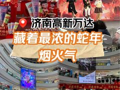 -万达广场(济南高新店)
