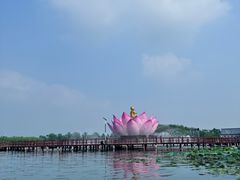 -白洋淀景区