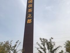 -茯茶镇