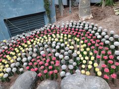 -南山植物园