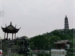 -顺峰山公园