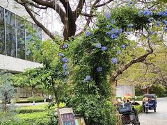 -缘生态云南菜·野生菌庭院餐厅(华侨城店)