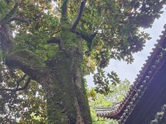 -天一阁博物院