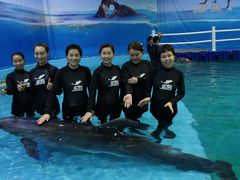 -秦皇岛乐岛海洋王国