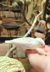 -Zoolung Zoolung动物主题公园(海信广场店)