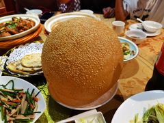 麻球-乡村大苑(嘉定店)