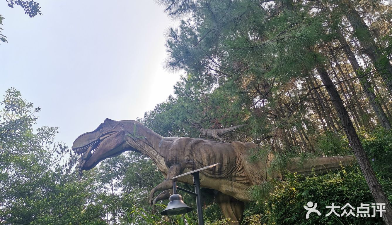 温泉项目：老少皆宜，露天温泉，有红酒浴