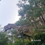温泉项目：老少皆宜，露天温泉，有红酒浴