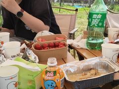-栖露营camping·天幕烧烤·团建拓展·采摘营地